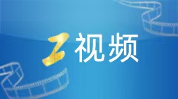 2025年前11个月检察机关办理社保领域行政非诉执行监督案3500余件